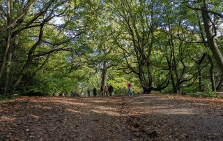 Hampstead Heath Autumn Walk Raises in Excess of £4,000